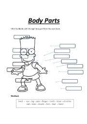 Body Parts - Bart - ESL worksheet by ronitpt