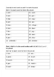 Plural rules worksheet with exercises