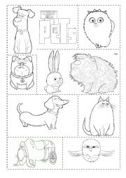 English Worksheet: the secret life of pets