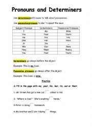 English Worksheet: determiners and possessive pronouns