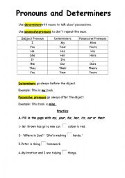 determiners and possessive pronouns