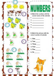 English Worksheet: NUMBERS - MATCHING EXERCISE