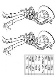 English Worksheet: Parts of the body