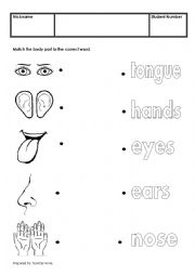 English Worksheet: five senses