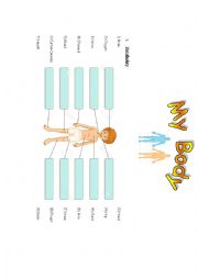 English Worksheet: Body Parts Vocabulary and Excersise