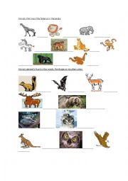 English Worksheet: Animals Pictionary 2