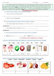 English Worksheet: test for elementary students