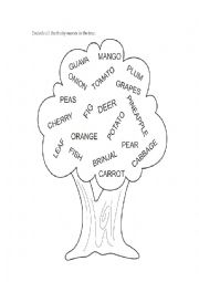 English Worksheet: Fruit names