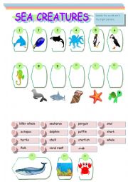 English Worksheet: Sea creatures