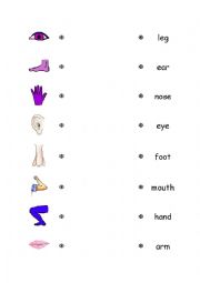 English Worksheet: Body Parts Match