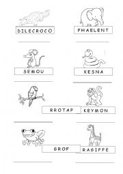 English Worksheet: Wild animals