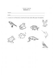 English Worksheet: Science exam