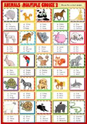 Animals, multiple choice activity 2