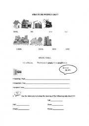 English Worksheet: WHAT IS THE PROJECT LIKE ?