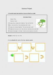 English Worksheet: Frog Cycle