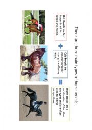 English Worksheet: Breeds of horse