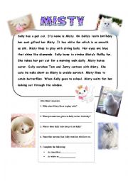 English Worksheet: Reading Comprehension on pet cat