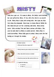 Reading Comprehension on pet cat