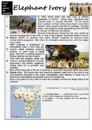 English Worksheet: Elephant Ivory  Reading comprehension + KEY