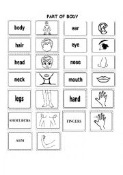 English Worksheet: Parts Of Body Worksheets