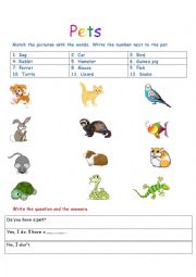 English Worksheet: Pets