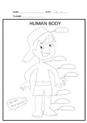 English Worksheet: Human Body
