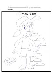 English Worksheet: Human Body