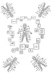 Body Intestine Board Game