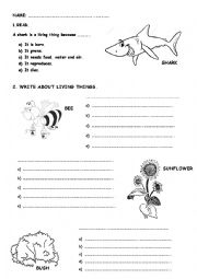 English Worksheet: living things