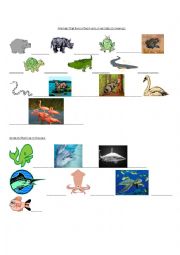 English Worksheet: Animals Pictionary 3
