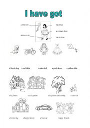 English Worksheet: I have got