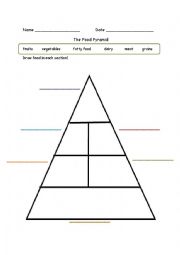 English Worksheet: Food Pyramid