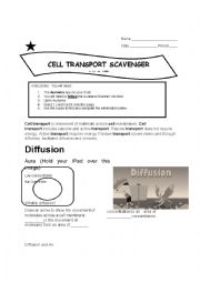 English Worksheet: Cell Transport