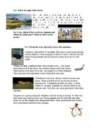 animals, landscape word study