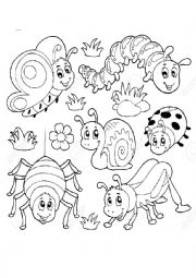 English Worksheet: Bugs and its jar