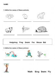 English Worksheet: Garden animals