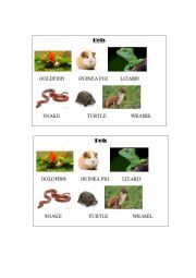 pets pictionary
