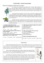 Revision Studies 2 - Reading Comprehensions