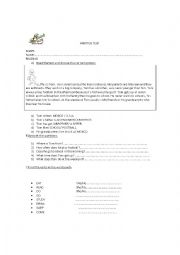 English Worksheet: Test 9th grade