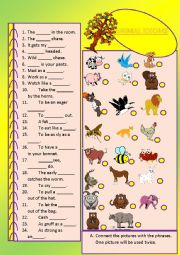 animal idioms