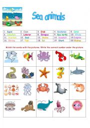 English Worksheet: Sea animals