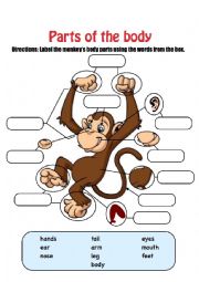 English Worksheet: Monkey Body Parts