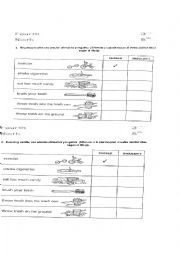English Worksheet: should n shouldnt kids