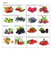 Berries Flashcards (Vocabulary worksheet)