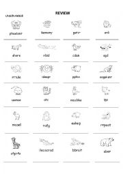 English Worksheet: animals