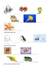 English Worksheet: Animals Pictionary 4
