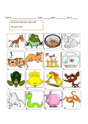 Name the animals Vocabulary