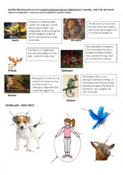 English Worksheet: Fantastic beasts