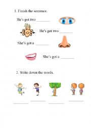 English Worksheet: parts of the face