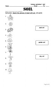 English Worksheet: soil worksheet